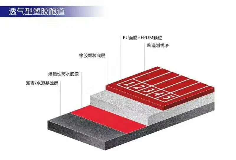 3377体育官方网站图片
